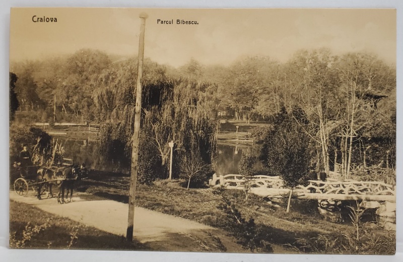 CRAIOVA , PARCUL BIBESCU , CARTE POSTALA ILUSTRATA , INTERBELICA