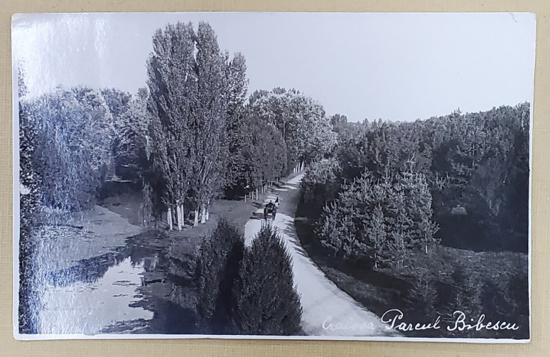 CRAIOVA , TRASURA PE ALEE IN PARCUL BIBESCU , FOTOGRAFIE TIP CARTE POSTALA , 1934