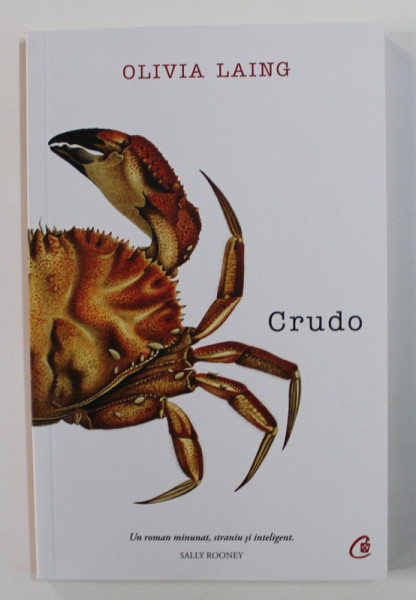 CRUDO de OLIVIA LAING , 2020