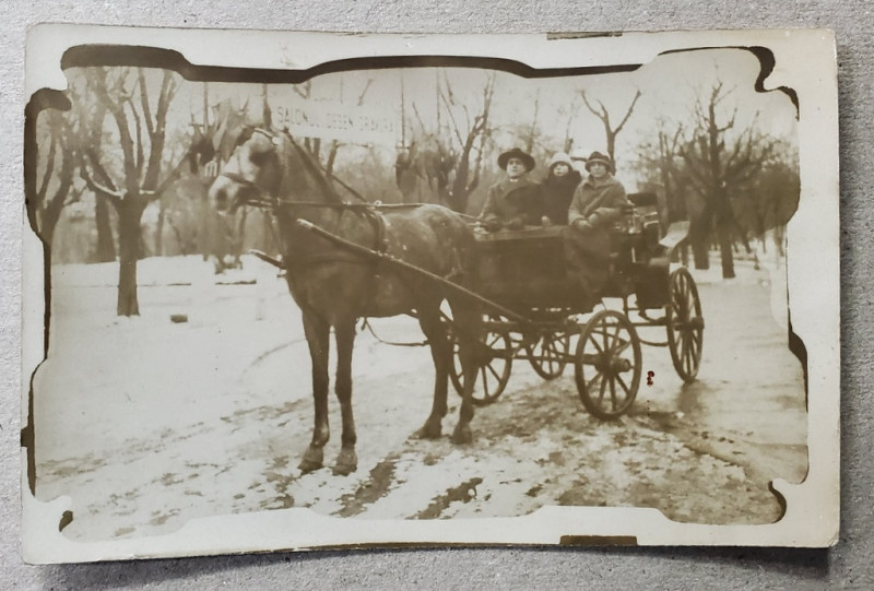 CU TRASURA PRIN PARC , IARNA , FOTOGRAFIE TIP CARTE POSTALA , INTERBELICA