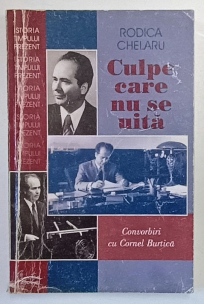 CULPE CARE NU SE UITA de RODICA CHELARU , 2001