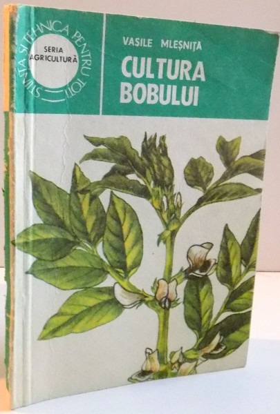 CULTURA BOBULUI , 1986