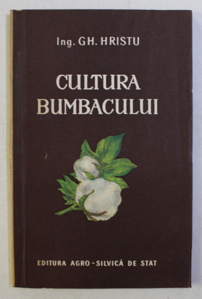 CULTURA BUMBACULUI de GH . HRISTU , 1955