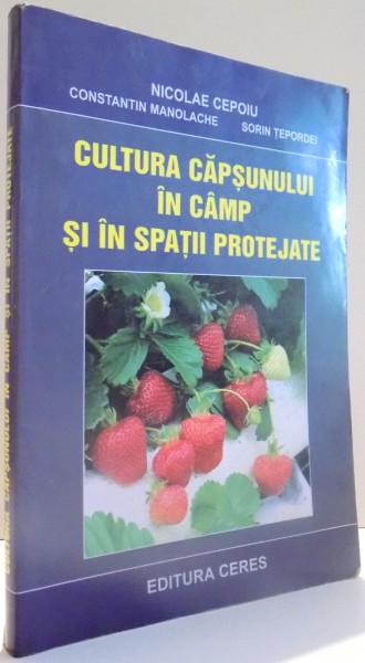 CULTURA CAPSUNULUI IN CAMP SI IN SPATII PROTEJATE de NICOLAE CEPOIU, CONSTANTIN MANOLACHE, SORIN TEPORDEI , 2006