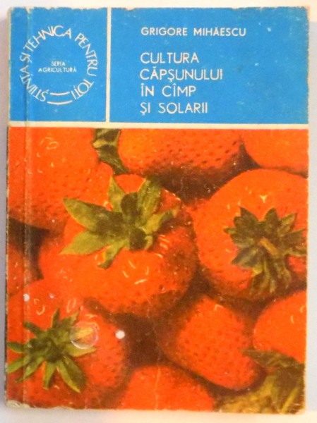 CULTURA CAPSUNULUI IN CAMP SI SOLARII , 1987