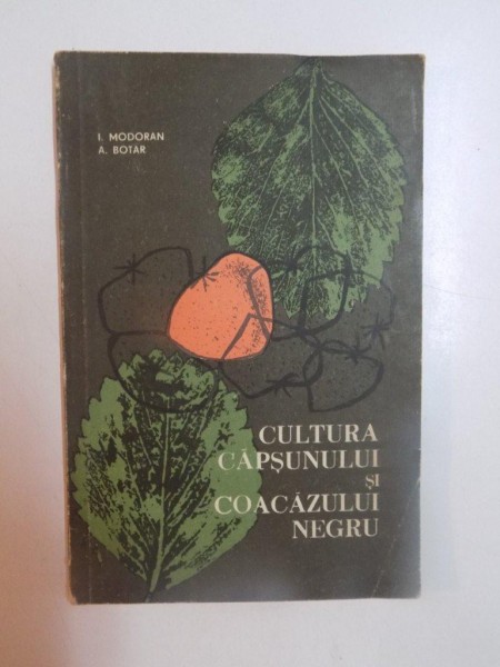 CULTURA CAPSUNULUI SI COACAZULUI NEGRU de I. MODORAN , A. BOTAR , 1966