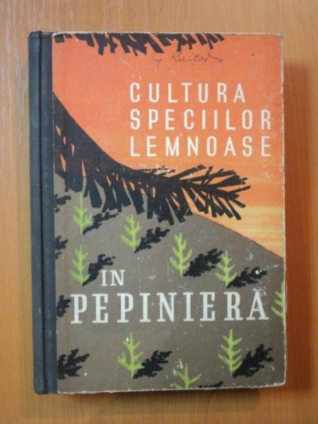 CULTURA SPECIILOR LEMNOASE IN PEPINIERA de ING. STEFAN RUBTOV