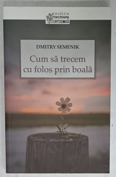 CUM SA TRECEM CU FOLOS PRIN BOALA de DMITRY SEMENIK , 2019