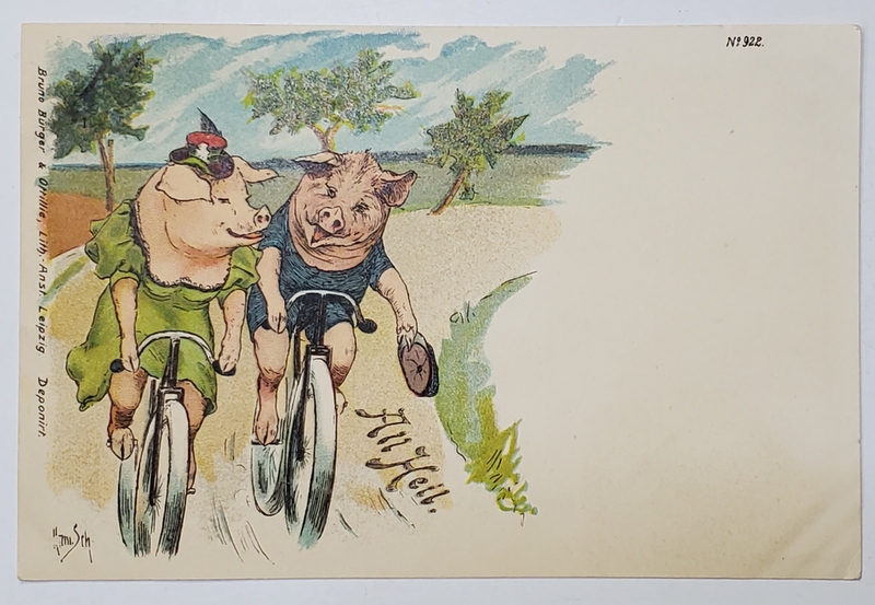 CUPLU DE PURCEI LA PLIMBARE CU BICICLETA , CARICATURA , CARTE POSTALA , CROMOLITOGRAFIE , CLASICA