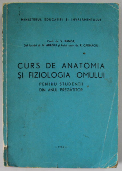 anatomia