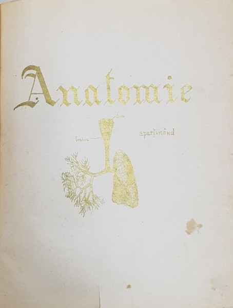CURS DE BIOLOGIE PREDAT A LICEUL SFANTUL SAVA , LITOGRAFIAT DUPA MANUSCRISUL ELEVULUI D. NEMIS , DATAT 1893