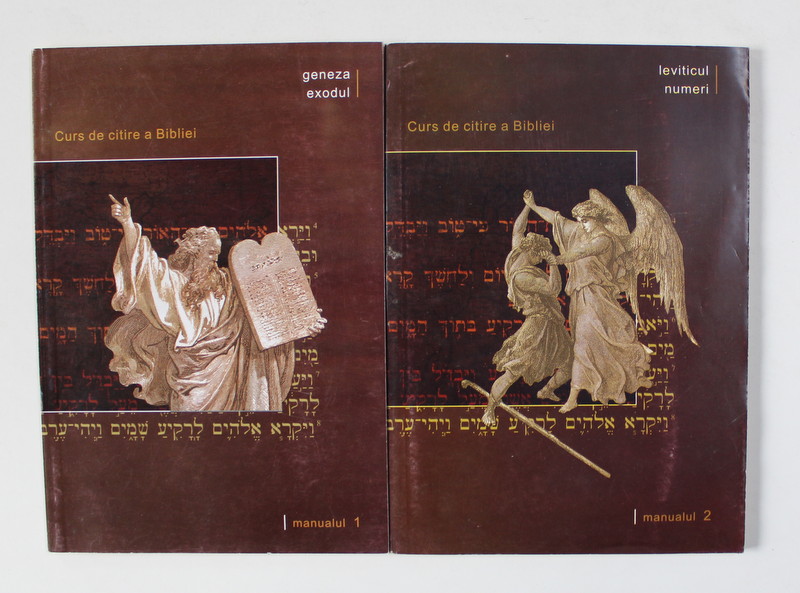 CURS DE CITIRE A BIBLIEI de FLORIN BICA si SEBASTIAN NEAGU  , VOLUMELE I - II , 2010