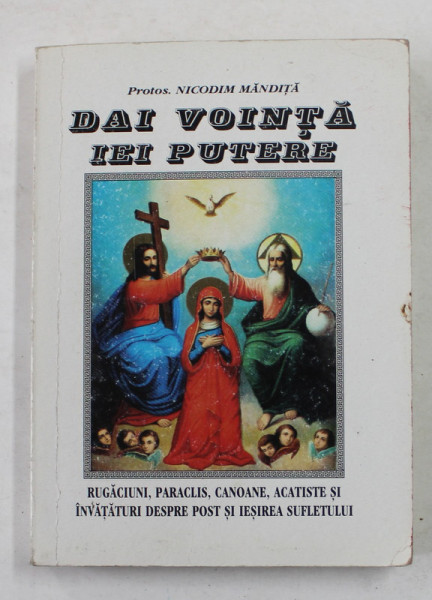 DAI VOINTA IEI PUTERE de NICODIM MANDITA , 2004