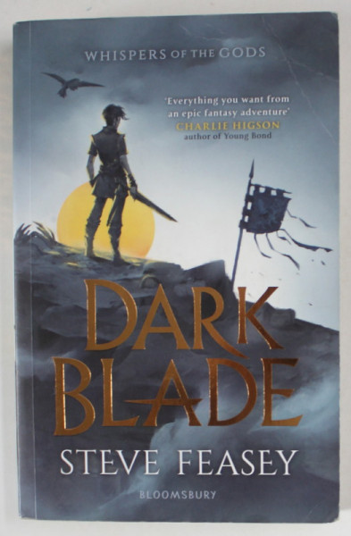 DARK BLADE by STEVE FEASEY , 2019
