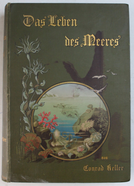 DAS LEBEN DES MEERES von CONRAD KELLER , 1895
