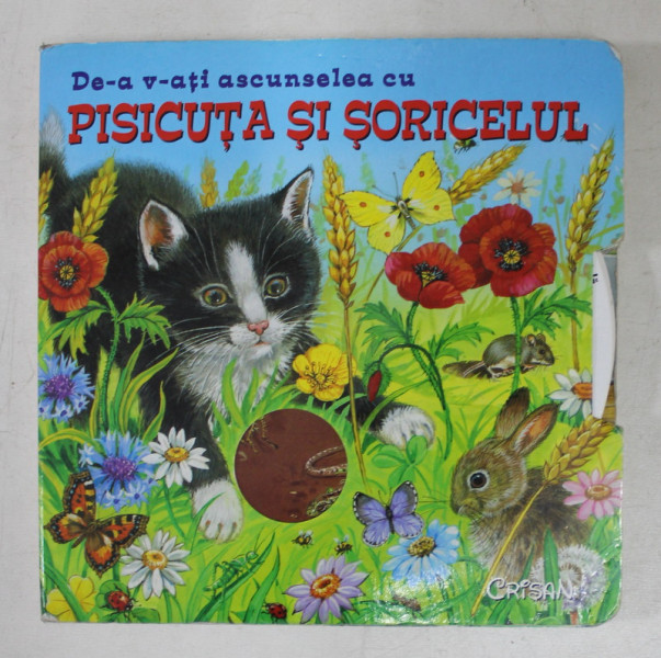 DE-A V-ATI ASCUNSELEA CU PISICUTA SI SORICELUL , 2007