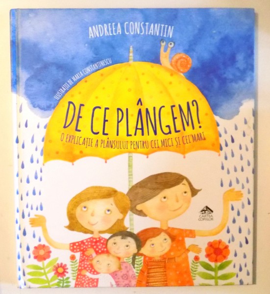 DE CE PLANGEM? O EXPLICATIE A PLANSULUI PENTRU CEI MICI SI CEI MARI de ANDREEA CONSTANTIN , 2017