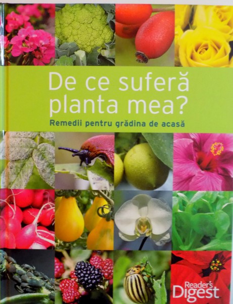 DE CE SUFERA PLANTA MEA, REMEDII PENTRU GRADINA DE ACASA, 2012