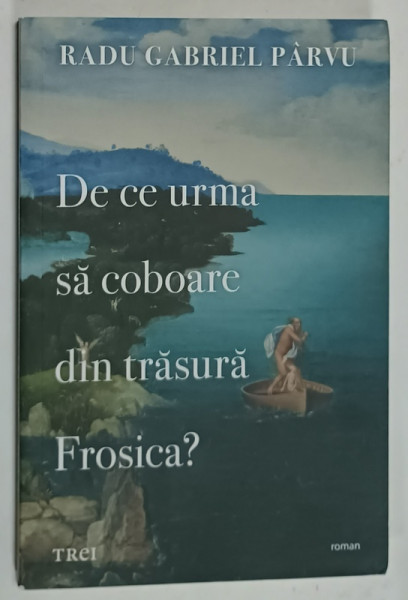 DE CE URMA SA COBOARE DINN TRASURA FROSICA ? de RADU GABRIEL PARVU , roman , 2020