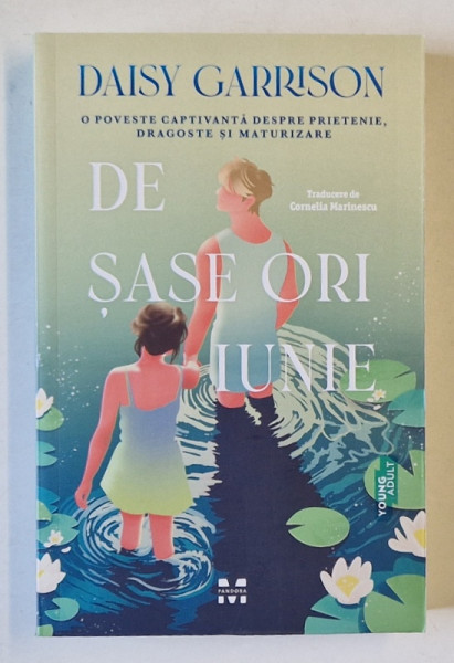 DE SASE ORI IUNIE , roman de DAISY GARRISON , 2025 *MICI DEFECTE