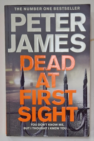 DEAD AT FIRST SIGHT by PETER JAMES , 2019