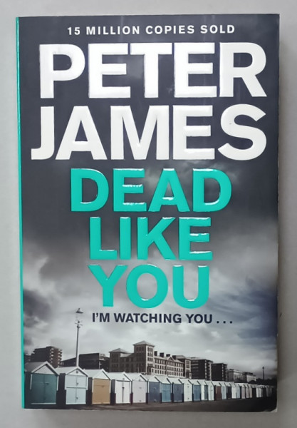 DEAD LIKE YOU by PETER JAMES , 2014
