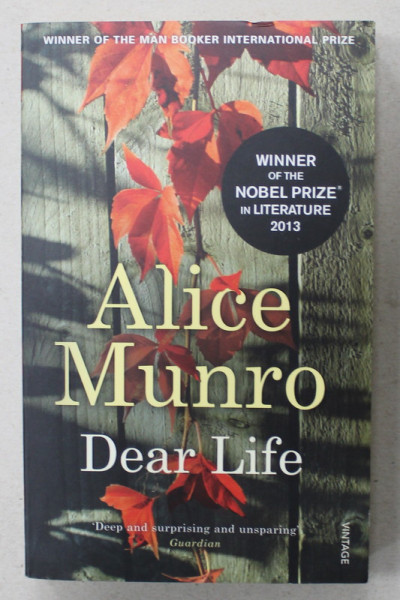 DEAR LIFE by ALICE MUNRO , 2013
