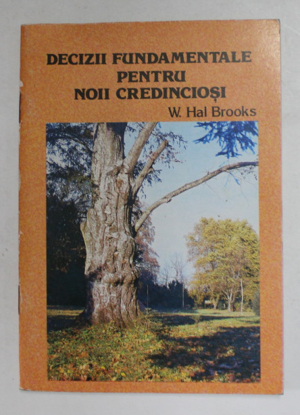 DECIZII FUNDAMENTALE PENTRU  NOII CREDINCIOSI de W. HAL BROOKS , ANII  '90