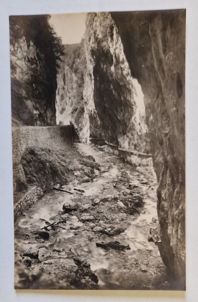 DEFILEUL BISTRITEI  VALCEA , FOTO. ORIG. E. FISCHER , TIP CARTE POSTALA , 1930