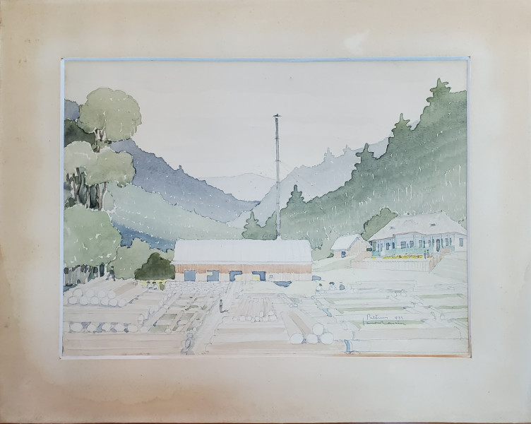 Depozit de lemne la Paltinis - Semnat indescifrabil