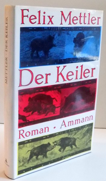 DER KEILER von FELIX METTLER , 1990