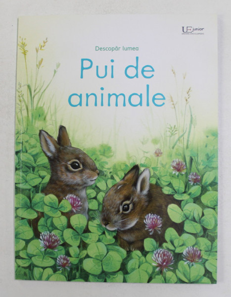 DESCOPAR LUMEA - PUI DE ANIMALE , text EMILY BONE , ilustratii LUCYE RIOLAND , 2021