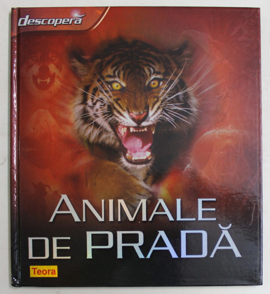DESCOPERA , ANIMALE DE PRADA de CLAIRE LLEWELLYN , 2008