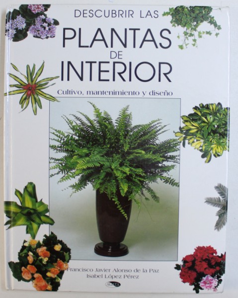 DESCUBRIR LAS PLANTAS DE INTERIOR  - CULTIVO , MANTENIMIENTO Y DISENO - FRANCISCO JAVIER ALONSO DE LA PAZ  e ISABEL LOPEZ PEREZ , 1997