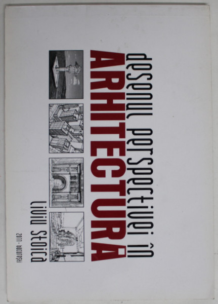 DESENUL PERSPECTIVEI IN LITERATURA de LIVIU STOICA , 2011