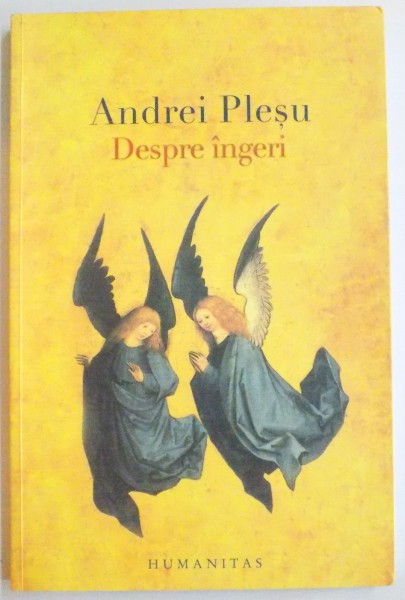 DESPRE INGERI de ANDREI PLESU , 2008