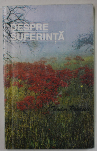 DESPRE SUFERINTA de TEODOR POPESCU , 1990