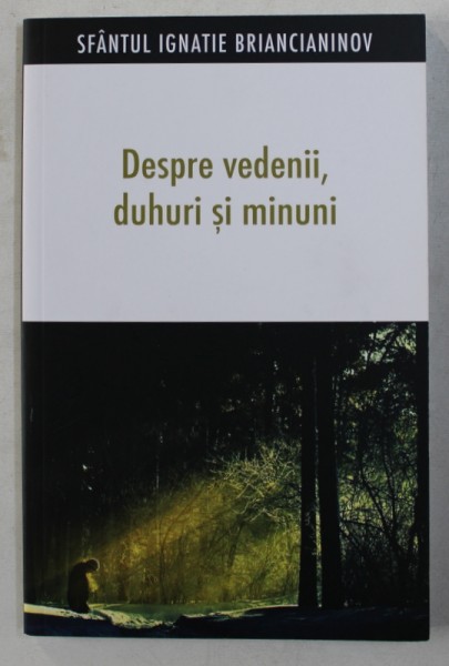 DESPRE VEDENII , DUHURI SI MINUNI de SFANTUL IGNATIE BRIANCIANINOV