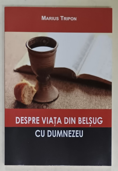DESPRE VIATA DIN BELSUG CU DUMNEZEU de MARIUS TRIPON , 2017