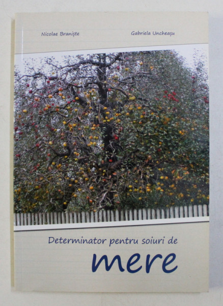 DETERMINATOR PENTRU SOIURI DE MERE de NICOLAE BRANISTE si GABRIELA UNCHEASU , 2011