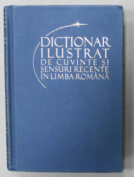 DICTIONAR ILUSTRAT DE CUVINTE SI SENSURI RECENTE IN LIMBA ROMANA de ELENA DANILA si ANDREI DANILA , 2011