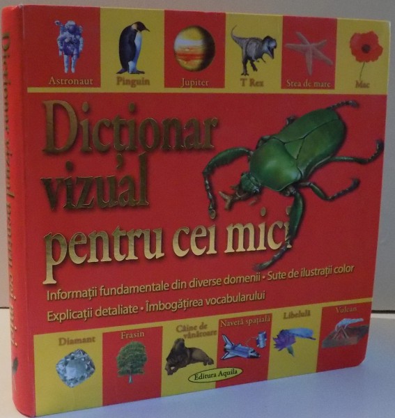 DICTIONAR VIZUAL PENTRU CEI MICI , 2008