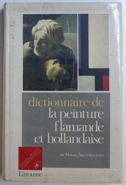 DICTIONNAIRE  DE LA PEINTURE FLAMANDE ET HOLLANDAISE DU MOYEN AGE A NOS JOURS par JEAN  - PHILIPPE BREUILLE , 1989