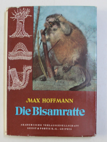 DIE BISAMRATTE ( BIZAMUL )von MAX HOFFMANN , 1958