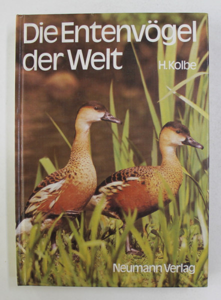 DIE ENTENVOKEL DER WELT -  RATE IN LUME von HARTMUT KOLBE , 1990