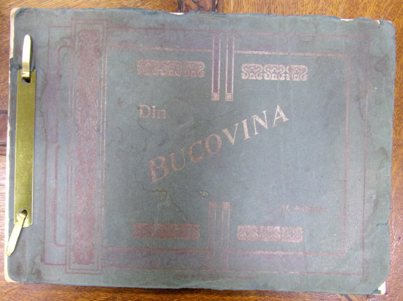 DIN BUCOVINA - VEDERI de ALEXANDRU ANTONIU