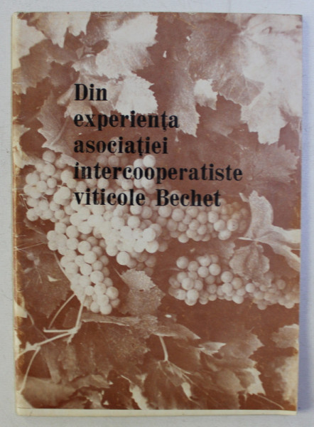 DIN EXPERIENTA ASOCIATIEI INTERCOOPERATISTE VITICOLE BECHET , 1973