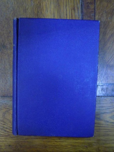 DIN TORSUL ZILELOR de ALEXANDRU DAVILA, VOL I-II