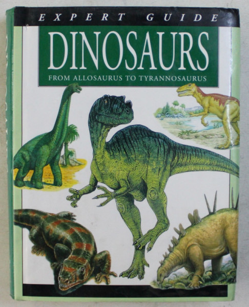 DINOSAURS , FROM ALLOSAURUS TO TYRANNOSAURUS by GERRIE MCCALL , 2005