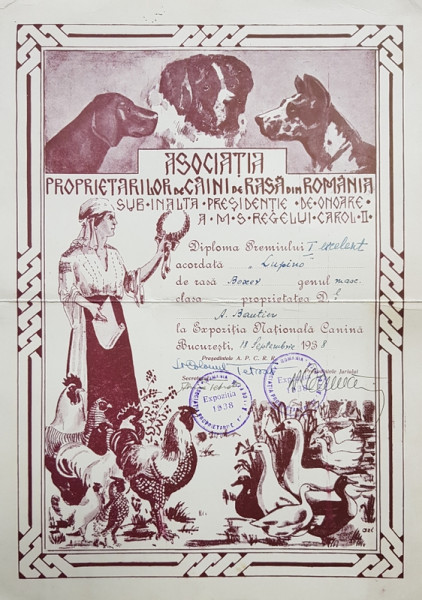Diploma premiul I la Expozitia Nationala Canina, Bucuresti, 1938